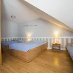 Wiatraki Nature Holiday park Olsztynek