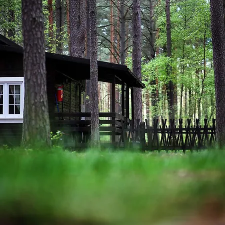 Wiatraki Nature